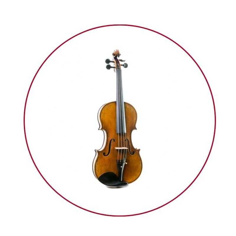 Viola
