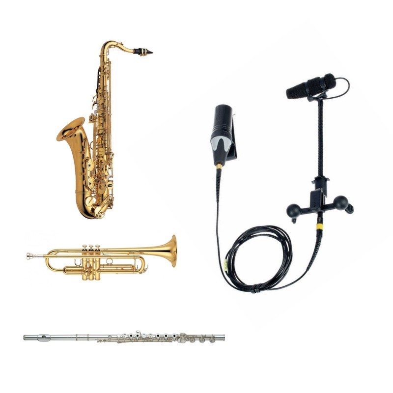 K321 - Micrófonos instrumentos de viento