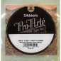 3ª Daddario J4503 Pro Arte Tension Normal