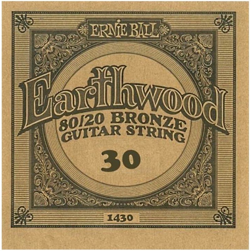 4ª Acustica Ernie Ball EB1430 Earthwood Bronze 030