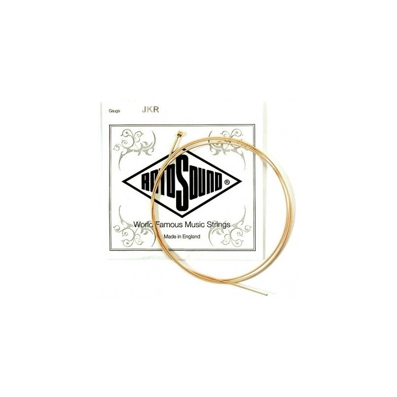 6ª Rotosound JKR054 cuerda guitarra acustica bronze 054