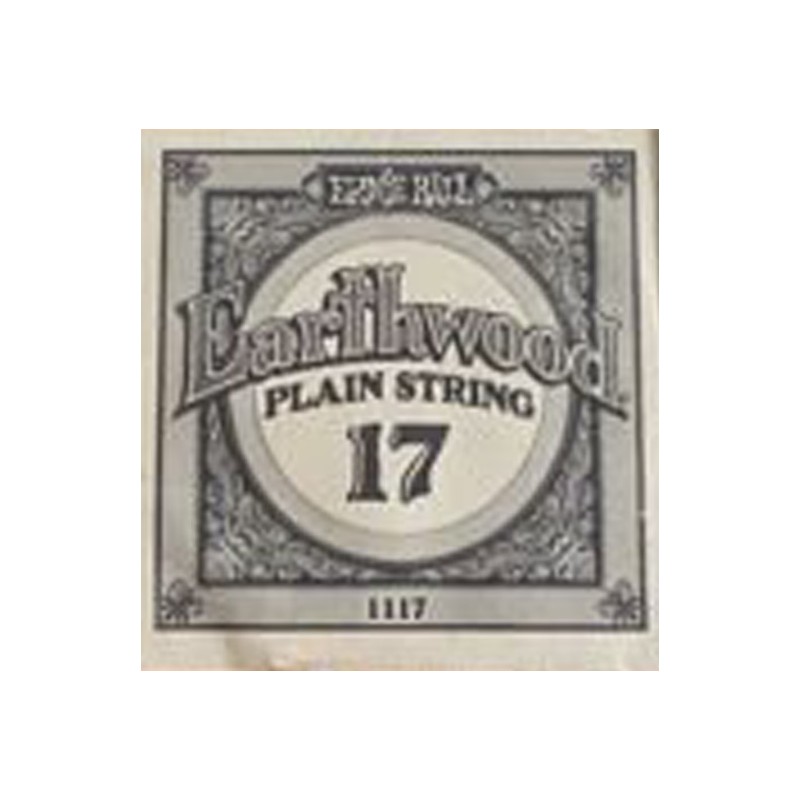 2ª Acustica/Electrica Ernie Ball 1117 017
