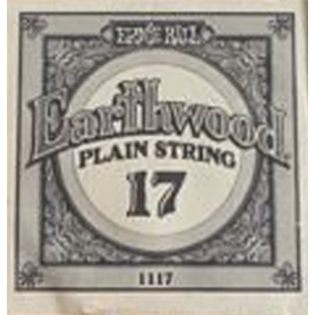 2ª Acustica/Electrica Ernie Ball 1117 017