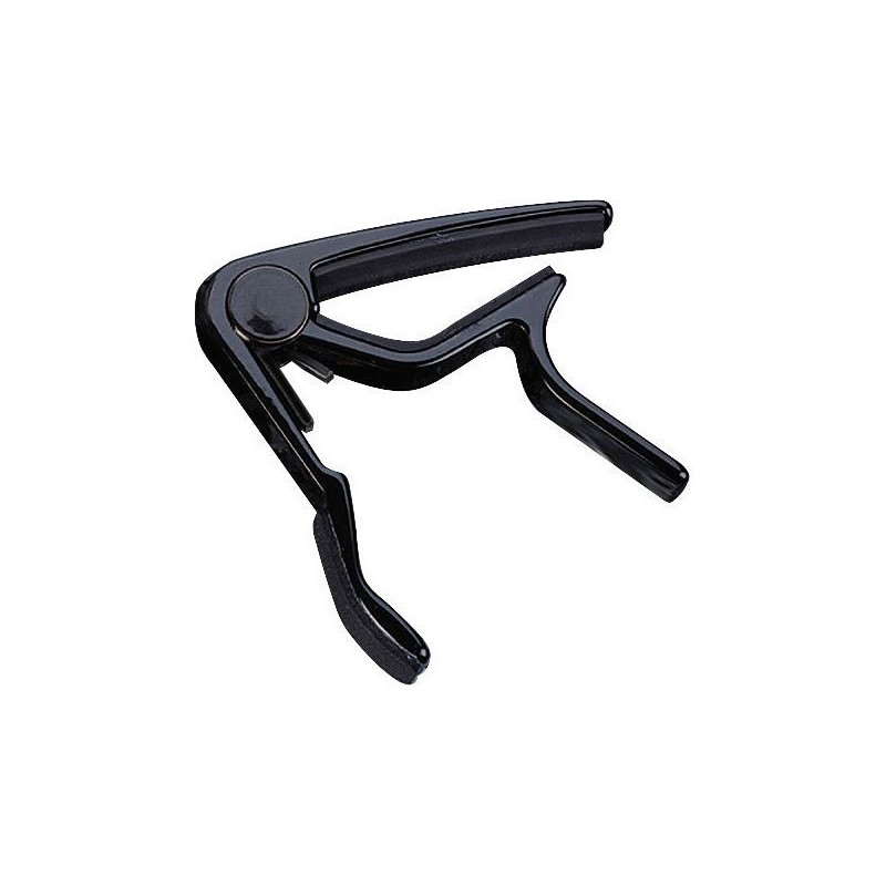 B-Bird BA-02P 12 cuerdas