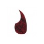 Gotoh F32 Marron concha
