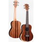Bones SP330T Ebony Tenor