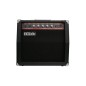 EK Audio B30 bass 30w