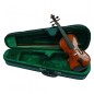 VIOLA PRIMO 12´´