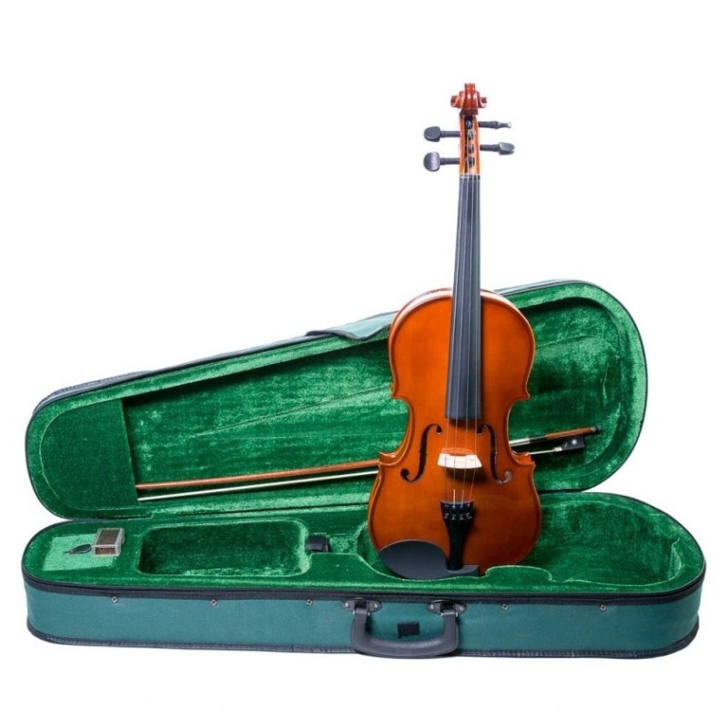 VIOLA PRIMO 13´´
