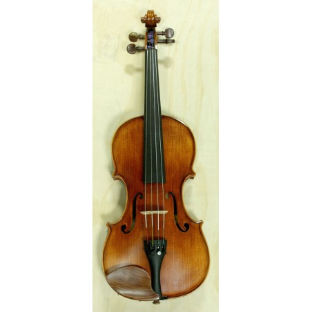 VIOLA DI ALPI INSBRUCK 14 (CON ARCO Y ESTUCHE)