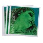 JUEGO VIOLIN EVAH PIRAZZI PIRASTRO 4\4