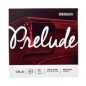 JUEGO CUERDAS CELLO 4\4 PRELUDE STRINGS DADDARIO