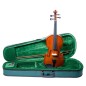 VIOLA PRIMO 13´´