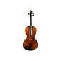 VIOLA NOVA 15´5´´