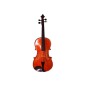 VIOLA GLIGA GEMS II 15 (SIN ESTUCHE Y SIN ARCO)