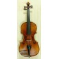 VIOLA DI ALPI INSBRUCK 14 (CON ARCO Y ESTUCHE)