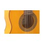 Admira Triana Flamenco 3/4