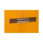 Admira Triana Flamenco 3/4