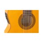 Admira Triana electrificada Fishman con cutaway