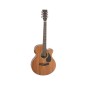 Daytona A401CEKOA ef koa