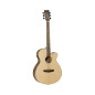 Tanglewood DBTSFCEPW Ef Super Folk
