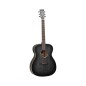 Tanglewood TWBBOE ef orchesta