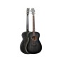 Tanglewood TWBBOE ef orchesta