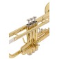 Amadeus TR600 Trompeta dorado sib