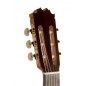 Antonio de Toledo F17 Cipres EQ Fishman CW