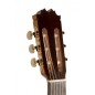 Antonio de Toledo F17S Santos Eq Fishman Cw