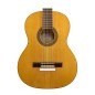 Golpeador para puente en guitarra Lisa Hurlong