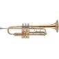 J. Michael TR300 tr200 sib
