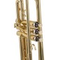 J. Michael TR300 tr200 sib