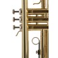 J. Michael TR300 tr200 sib