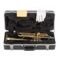 J. Michael TR300 tr200 sib