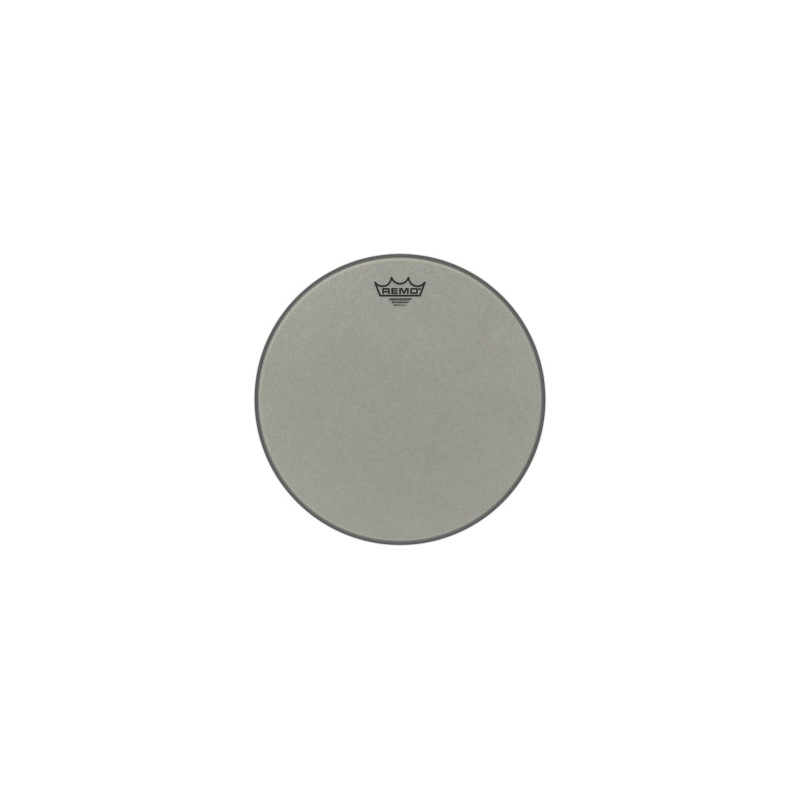 Remo 14" Renaissance Ambassador RA-0014-SS