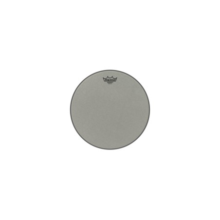 Remo 14" Renaissance Ambassador RA-0014-SS