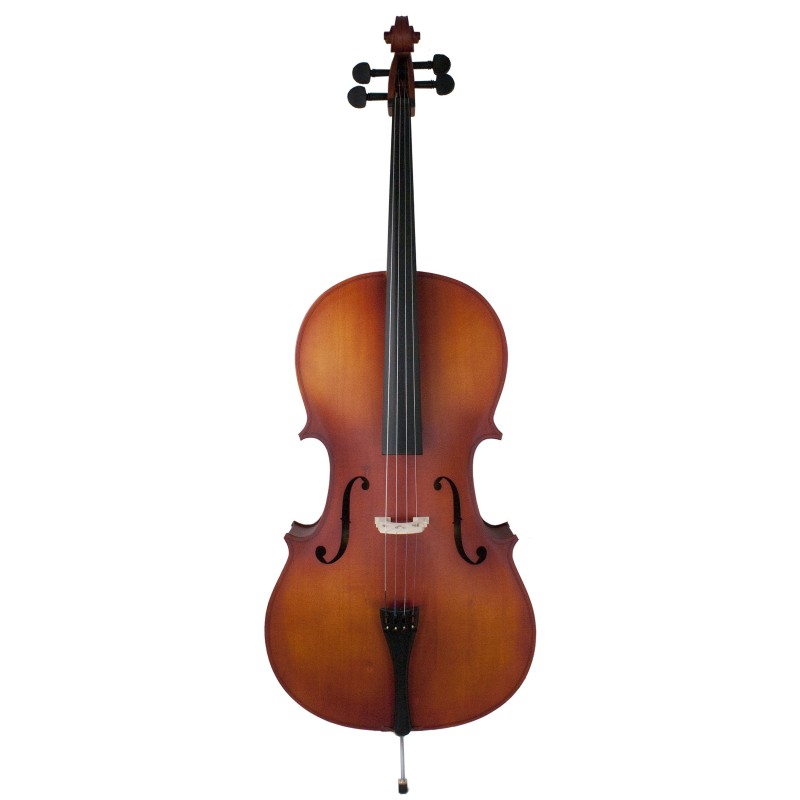 Amadeus CA10144 4/4 cello