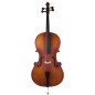 Amadeus CA10144 4/4 cello