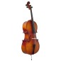 Amadeus CA10144 4/4 cello