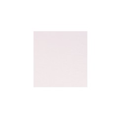 Lisa Hurlong Golpeador Transparente 25x23 cm