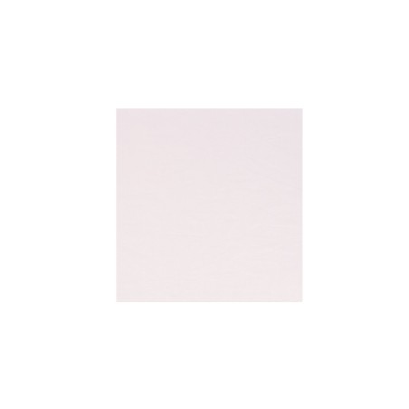 Lisa Hurlong Golpeador Transparente 25x23 cm