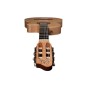 Godin Arena Flame Arce CW