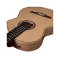 Godin Arena Flame Arce CW