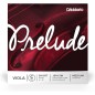 4ª Daddario Prelude J914 SM C (Do) 15"