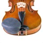Strad-Pad Protector Barbada Ebano Largo