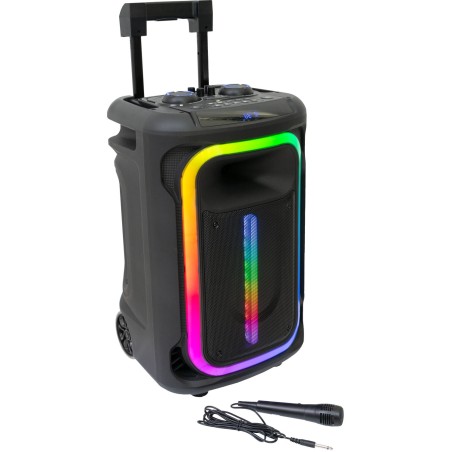 Ibiza Sound MOBILE800 Altavoz Multimedia
