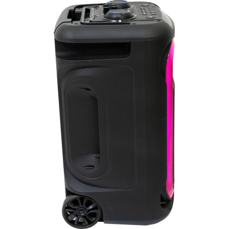 Ibiza Sound MOBILE800 Altavoz Multimedia
