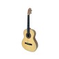 Benitez Flamenca Estudio + funda acolchada