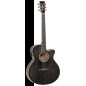 Tanglewood TW4BS